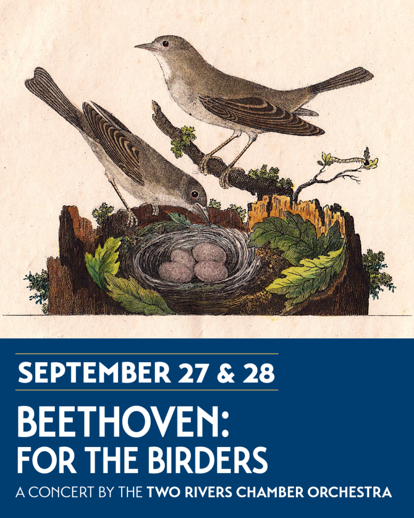 Beethoven: For the Birders